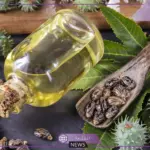 لجمال البشرة والشعر.. استخدام زيت الخروع في العناية بالبشرة والشعر