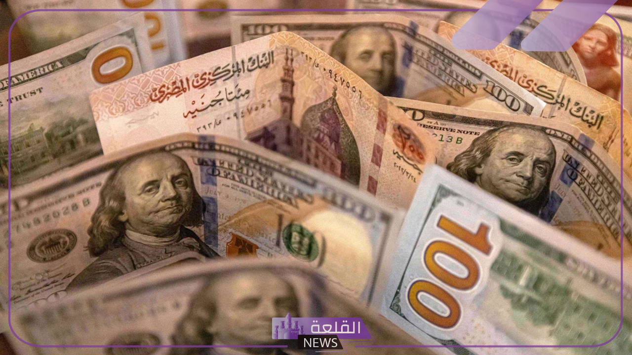 سعر اليوم.. اعرف سعر الدولار أمام الجنيه المصري في البنك المركزي وجميع البنوك اليوم 25 يونيو