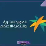 بالرابط المباشر.. استعلم عن الضمان المطور من خلال منصة النفاذ الوطني “بالخطوات”