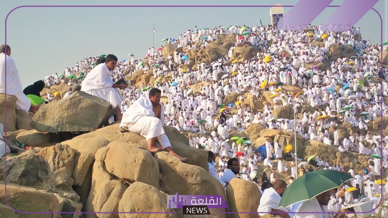تصاعد الأحداث.. عضو مجلس شعب مصري يطالب الحكومة بتوضيح أسباب وفاة الحجاج 5 نائب مصري يطالب الحكومة بتوضيح أسباب وفيات الحج