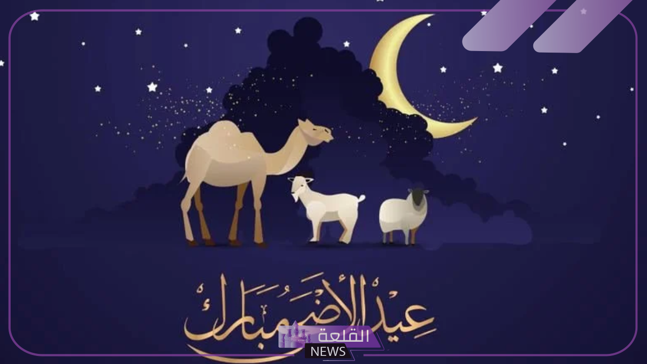 عاجل.. وزارة الموارد البشرية تعلن تمديد إجازة عيد الأضحى للقطاعين 5 تمديد إجازة عيد الأضحى للقطاعين 1445