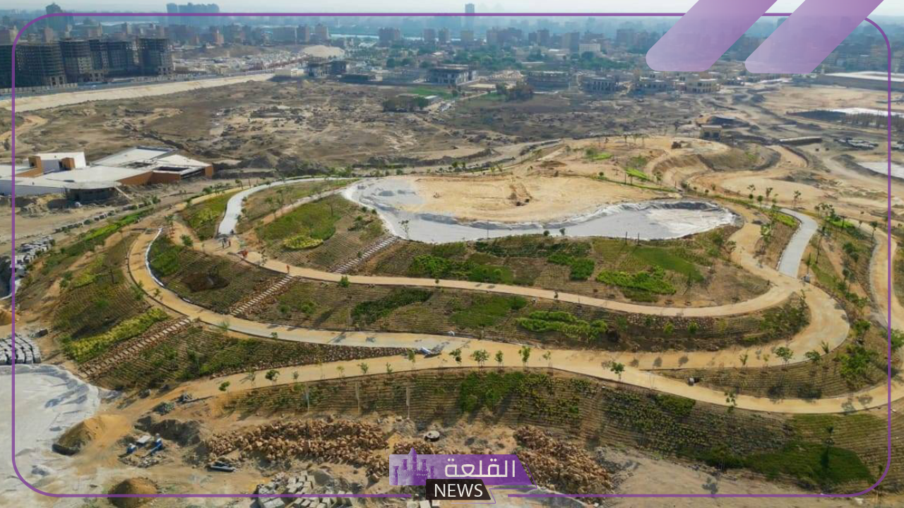 اعرف الحقيقة.. أسباب قطع الأشجار في مصر خلال الأيام الماضية والقادمة