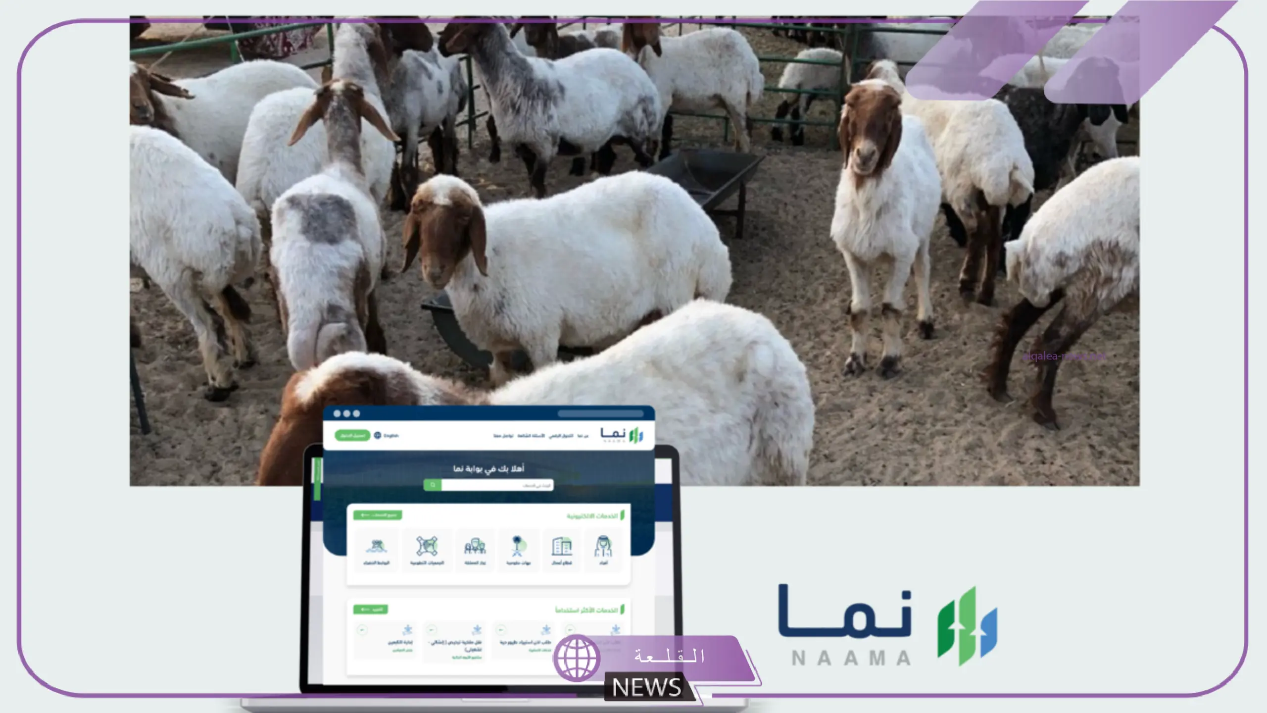 بالرابط المباشر.. خطوات حجز موقع بيع الأضاحي "اعرف جميع الشروط" 5 حجز موقع بيع الأضاحي scaled
