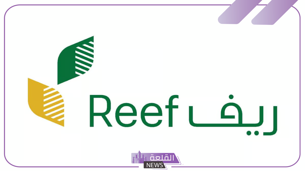 سجل الآن.. وزارة البيئة تحدد الفئة المستحقة في دعم ريف المواشي وتكشف عن خطوات التقديم 5 خطوات التقديم على دعم ريف المواشي