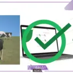 سجل الآن.. وزارة البيئة تحدد الفئة المستحقة في دعم ريف المواشي وتكشف عن خطوات التقديم