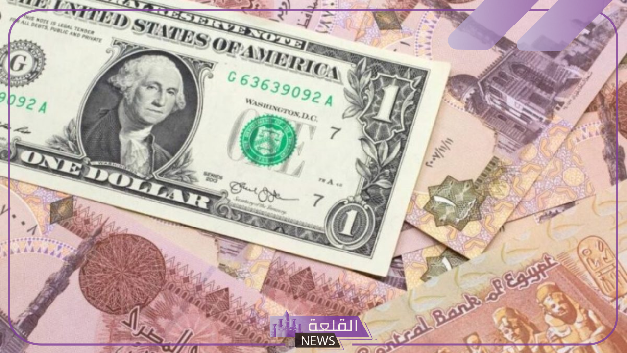 سعر اليوم.. اعرف سعر الدولار أمام الجنيه المصري في البنك المركزي وجميع البنوك اليوم 25 يونيو 6 سعر الدولار في السوق السوداء اليوم الثلاثاء
