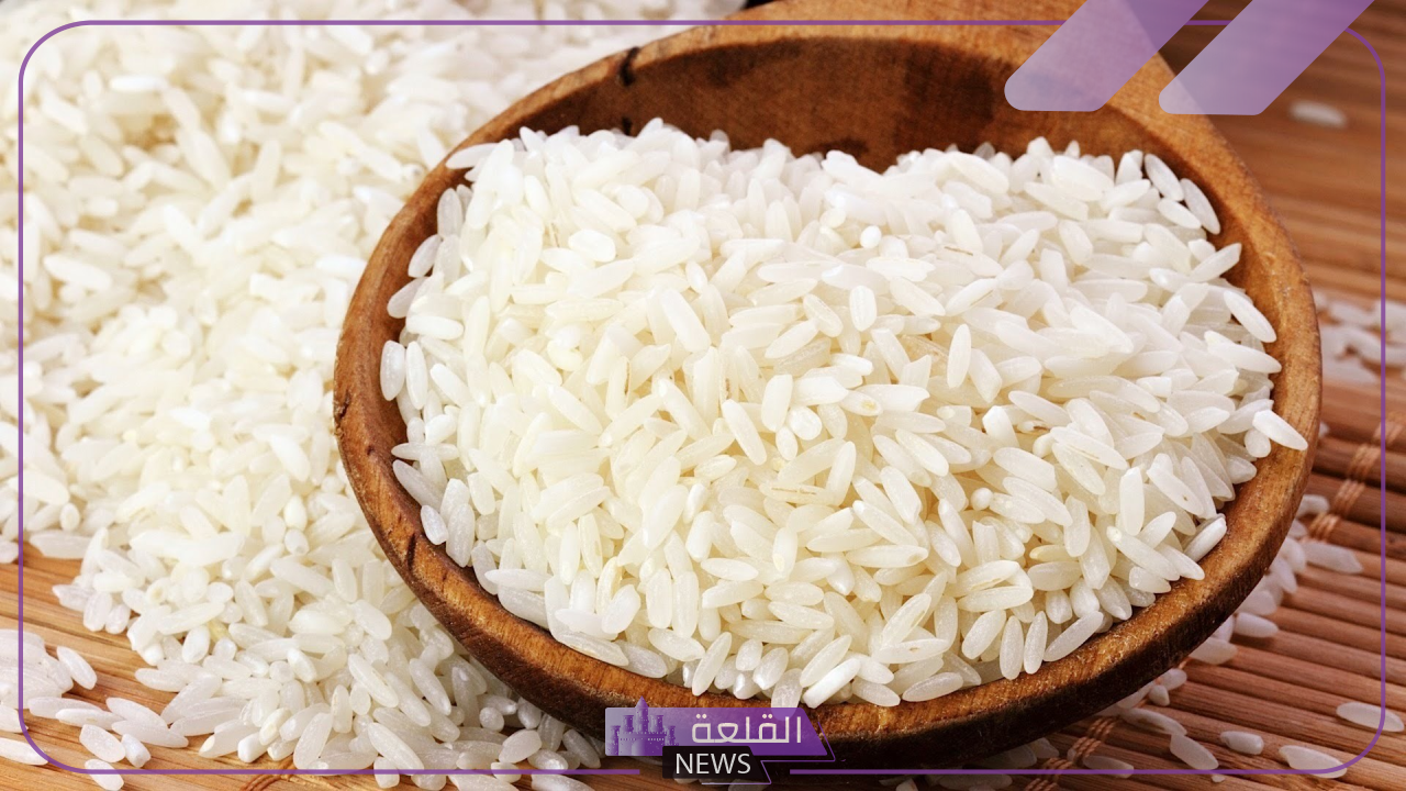 بكم الكيلو؟؟ اعرف سعر طن الرز اليوم الثلاثاء 18 يونيو للتجار والمواطنين