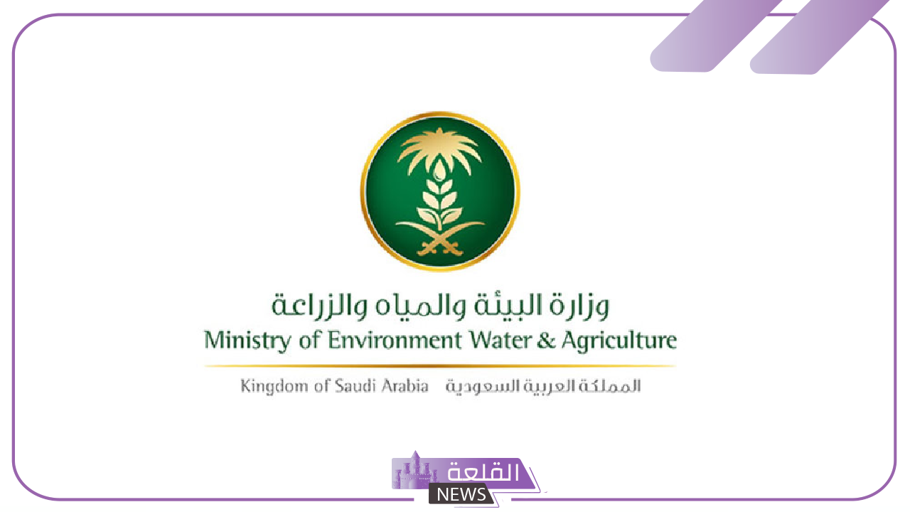 سجل الآن.. وزارة البيئة تحدد الفئة المستحقة في دعم ريف المواشي وتكشف عن خطوات التقديم 6 شروط استحقاق دعم ريف المواشي