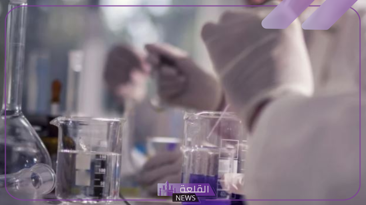 كارثة!! اكتشاف أكثر من 148 عينة غذائية غير صالحة للاستهلاك بالمدينة 1 خبر عاجل ضبط 148 عينة غذائية غير صالحة للاستهلاك