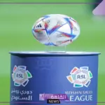 تقارير.. ارتفاع عدد متابعي دوري روشن في السنة الأخيرة
