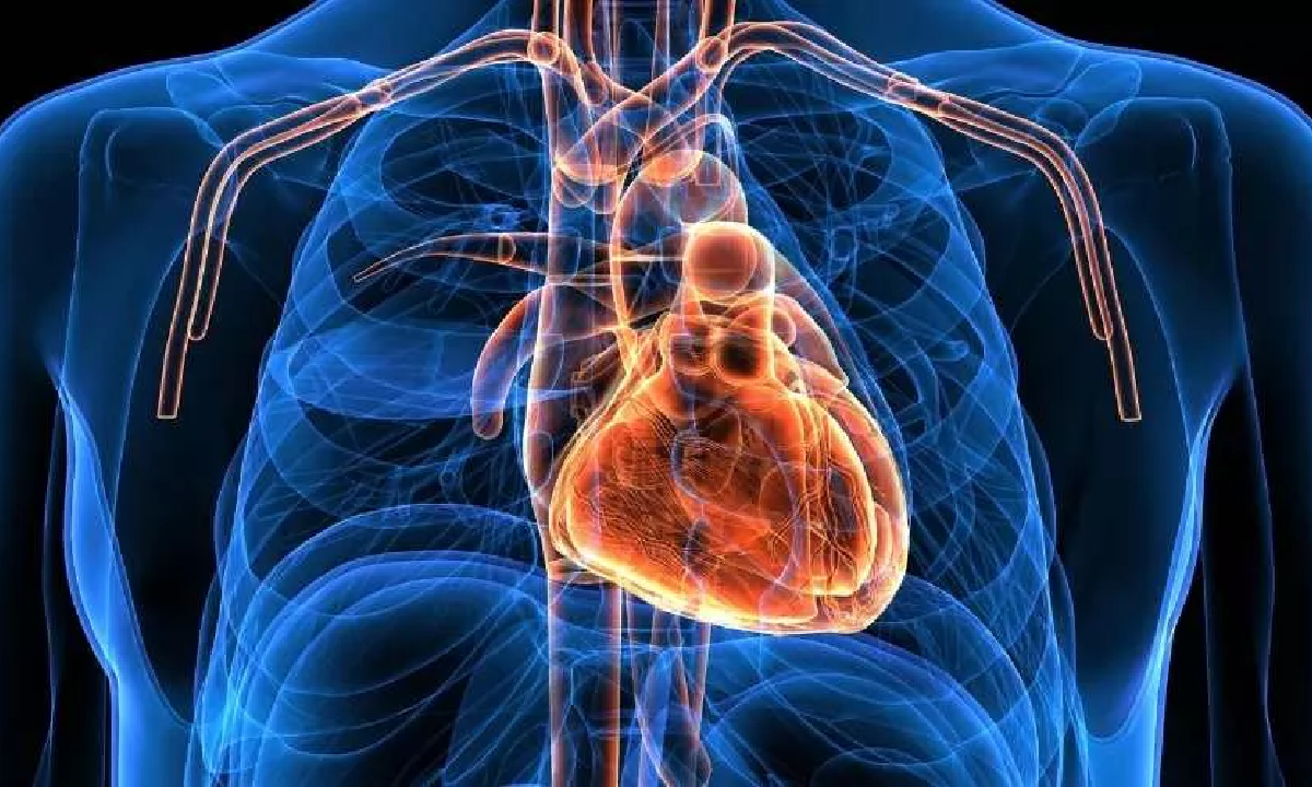 لا تأكل هذه الأطعمة!! دراسات تحذر من أطعمة تزيد من احتمالية فشل القلب 5 فشل القلب