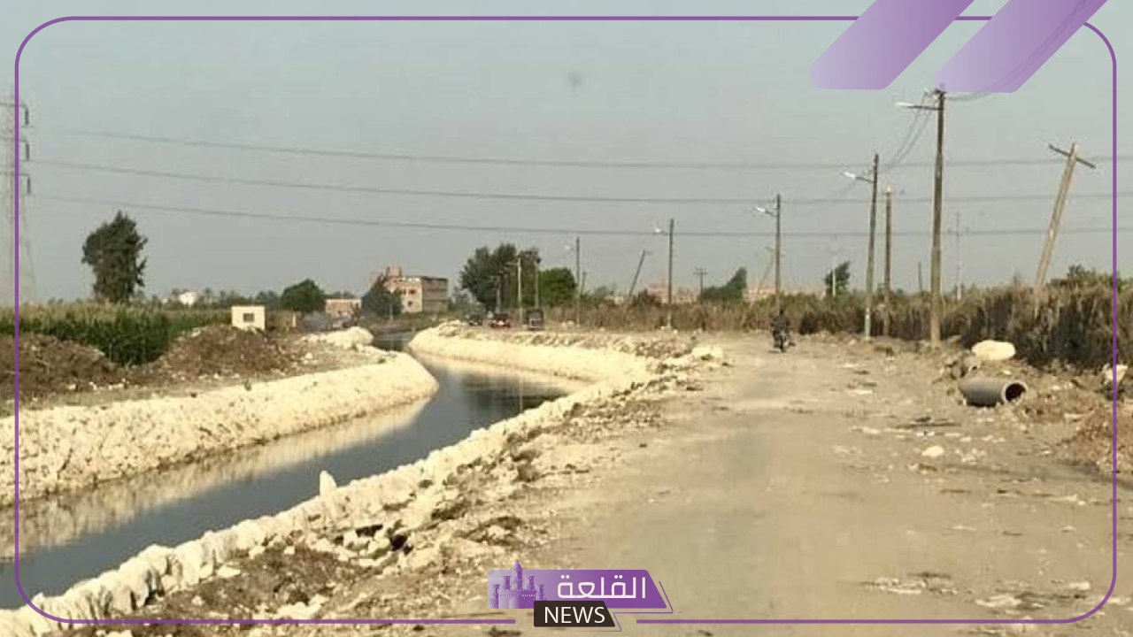 اعرف الحقيقة.. أسباب قطع الأشجار في مصر خلال الأيام الماضية والقادمة 6 آراء حول إزالة الأشجار من شوارع مدن مصر
