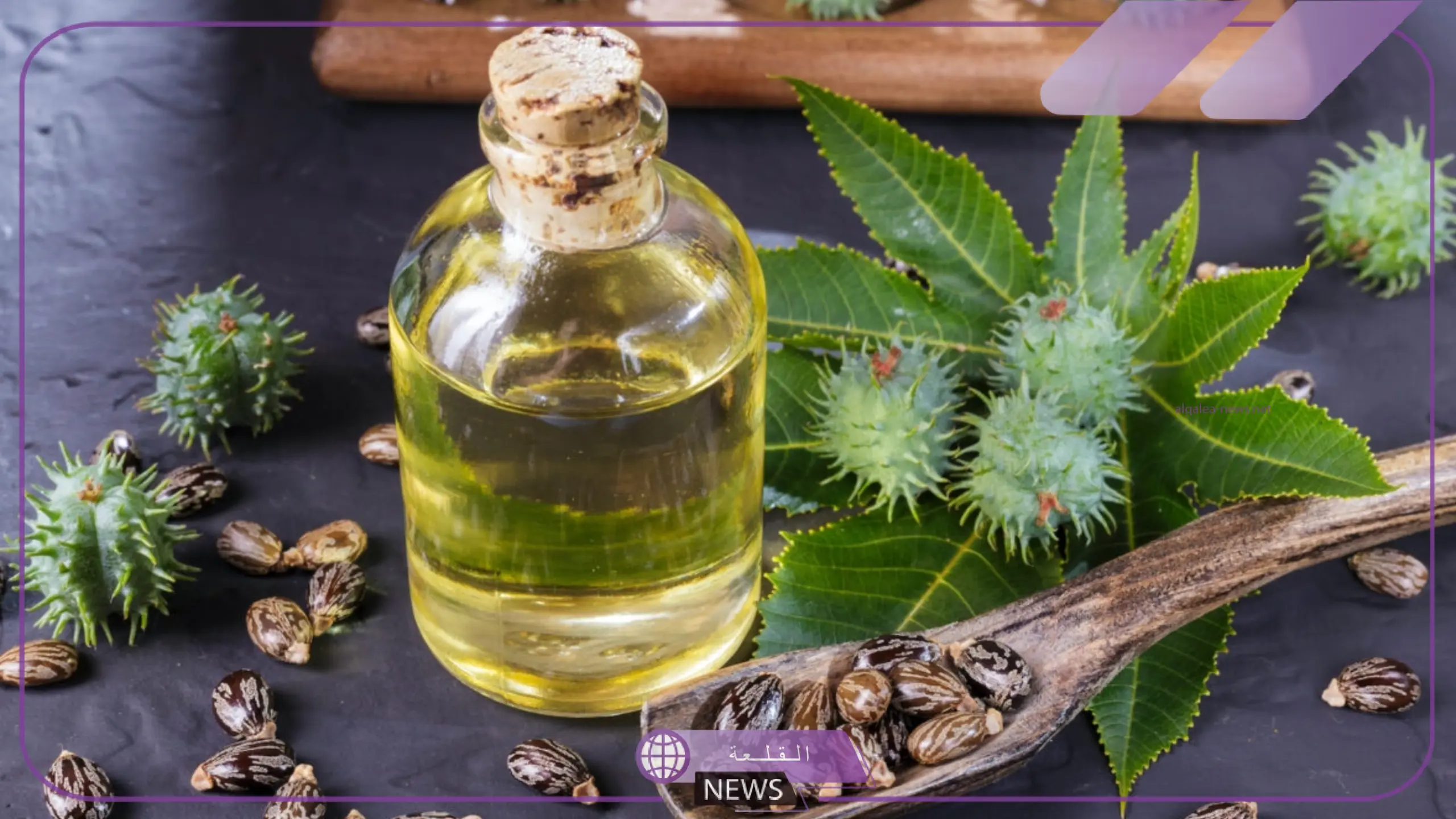 لجمال البشرة والشعر.. استخدام زيت الخروع في العناية بالبشرة والشعر 5 اكتشف أهم استعمالات لزيت الخروع