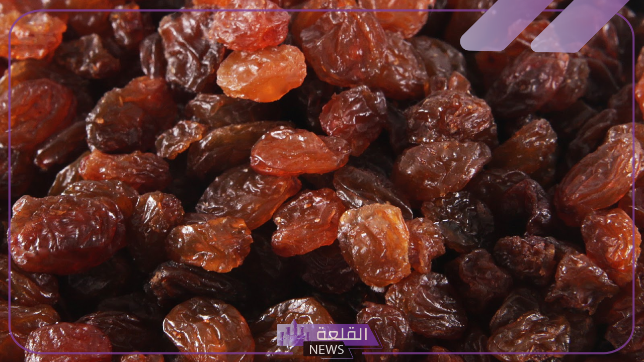 لخسارة الوزن.. اعرف جميع الفوائد الصحية من تناول ماء الزبيب 16 لخسارة الوزن.. اعرف جميع الفوائد الصحية من تناول ماء الزبيب