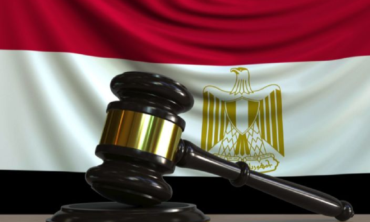 عاجل.. الدستورية تفصل في دعوى بطلان تحديد سنوات القيد لحق الإرث!! 6 نص المادة 30 لحق الإرث