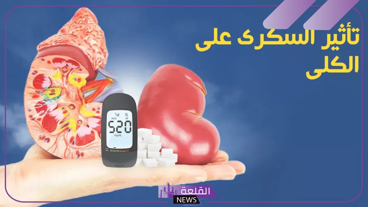 لمرضى الضغط والسكري.. 5 أسباب تؤدي للإصابة بمرض الكلى