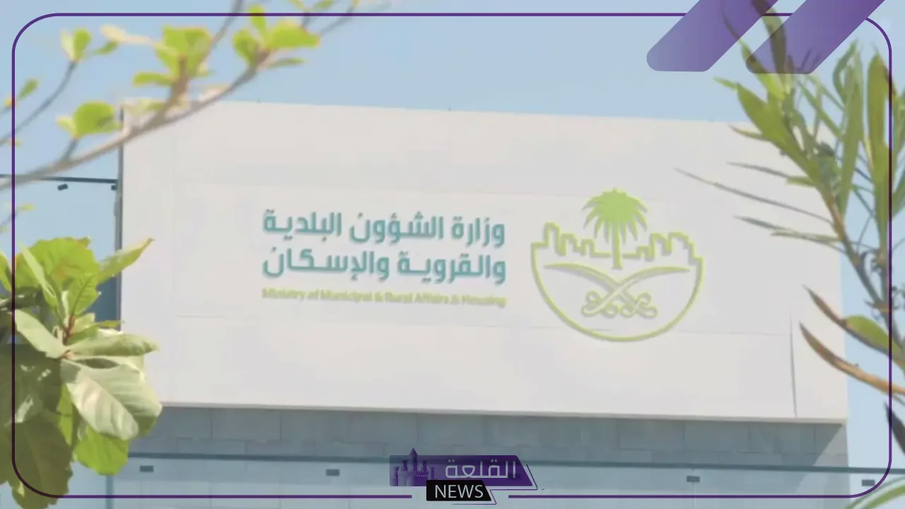 لسلامة الجميع.. البلدية تشترط تخصيص غرفة لإزالة القمل في صالونات الحلاقة