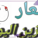 اللتر بكم؟ أسعار لتر البنزين اليوم الاثنين 22 يوليو في مصر والسعودية