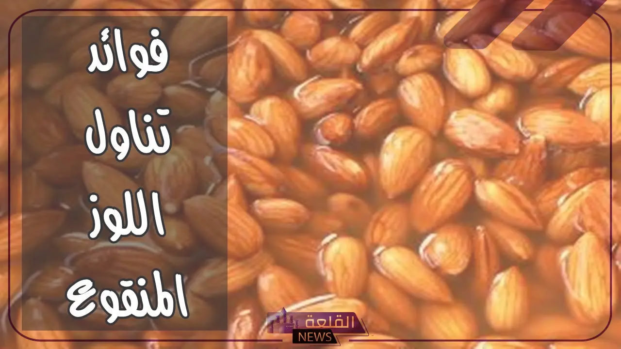 لتحسين الحالة الصحية.. أهم 6 فوائد من تناول اللوز المنقوع في صباح كل يوم