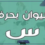 حيوان بحرف س.. 7 حيوانات تبدأ بحرف السين