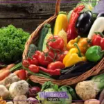 أسعار الخميس.. أسعار الخضروات والفواكه اليوم الخميس 25 يوليو 2024 في السوق