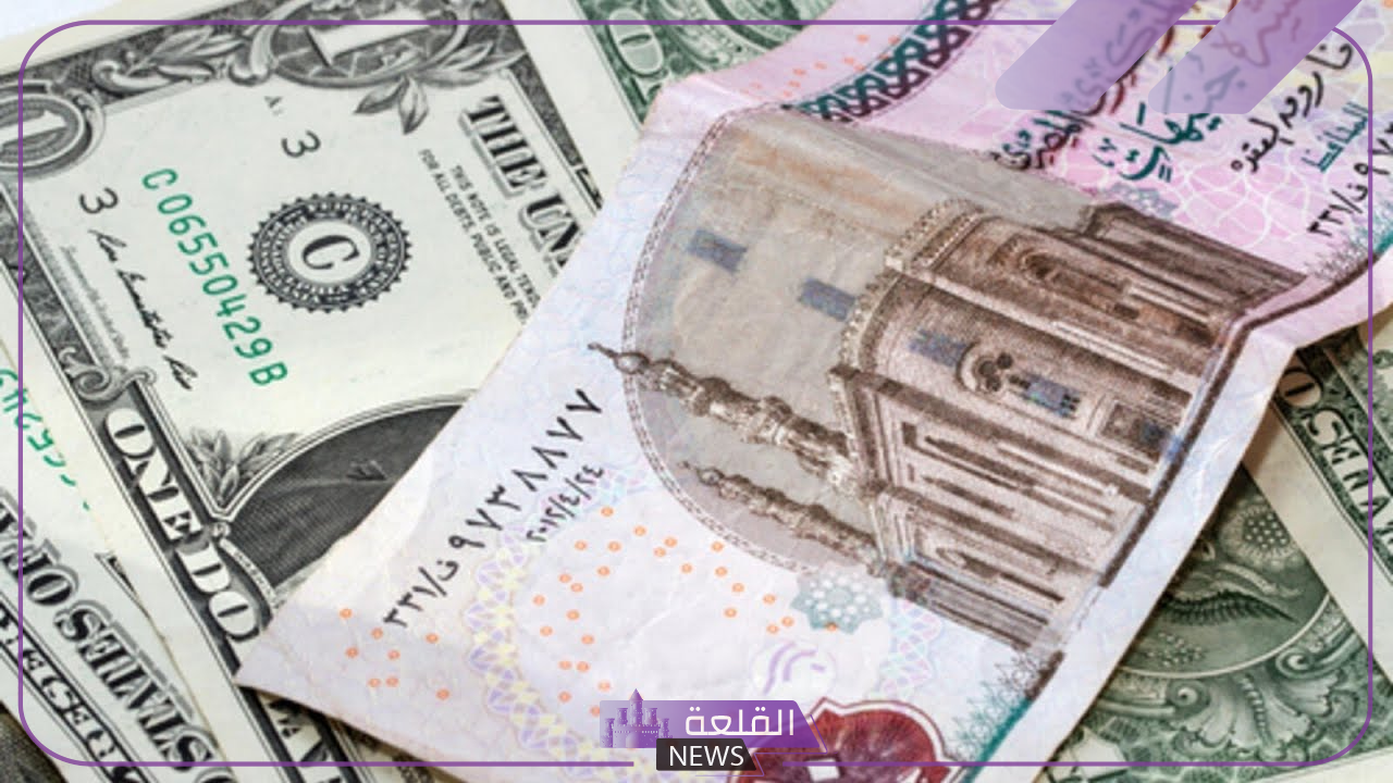 الدولار بكم.. سعر الدولار أمام الجنيه المصري اليوم الأربعاء 3 يوليو 2024