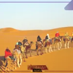 رمز اي قبيلة 404؟ أهم الحقائق التاريخية عن هذه القبيلة