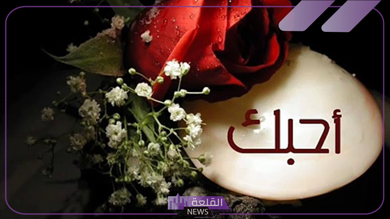 الرد على كلمة احبك.. إذا أحد قال أحبك كيف أرد عليه؟