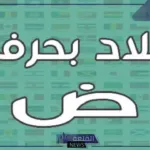 بلاد بحرف ض.. 5 بلاد تبدأ بحرف الضاد