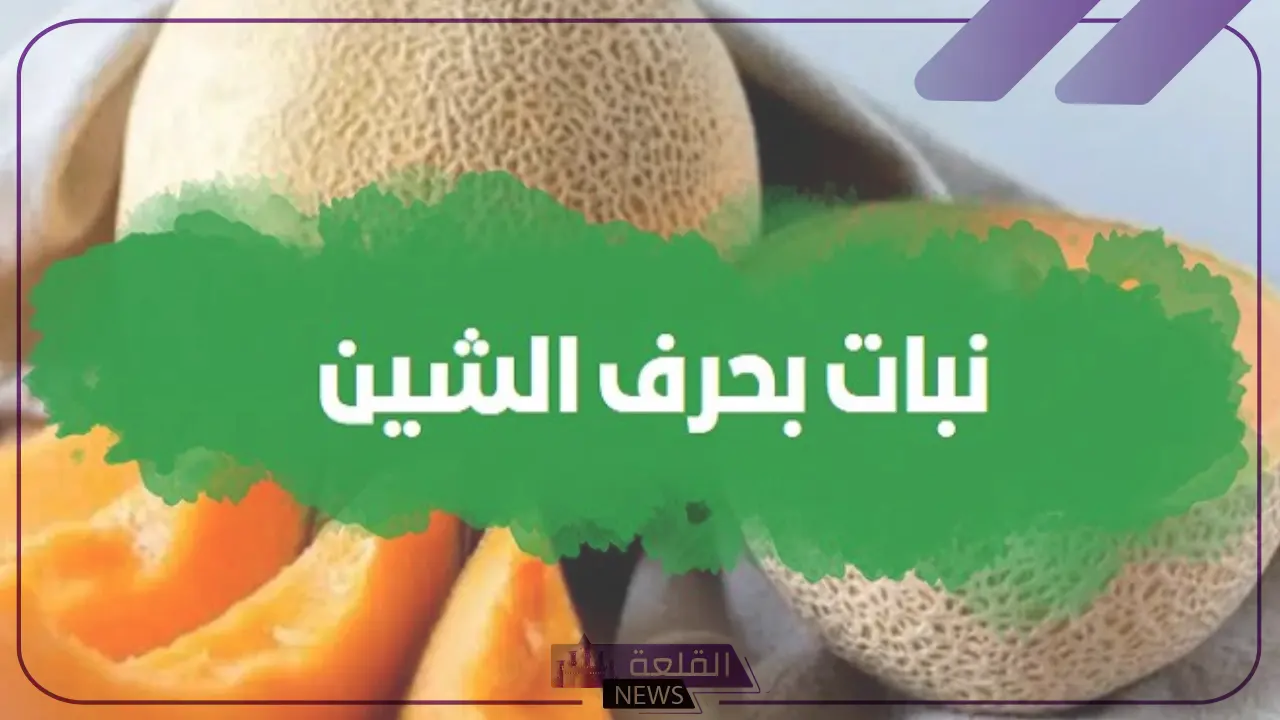 نبات بحرف الشين.. 5 نباتات تبدأ بحرف ش