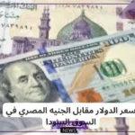 الأسعار الجديدة.. أسعار الدولار اليوم مقابل الجنيه المصري في البنوك المصرية والسوق السوداء
