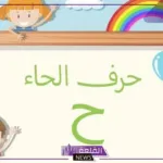 اسم فاكهه بحرف الحاء (أشهر 3 فواكه تبدأ بحرف ح)