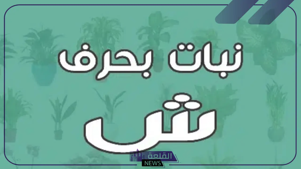 نبات بحرف الشين.. 5 نباتات تبدأ بحرف ش 6 نباتات تبدأ بحرف ش