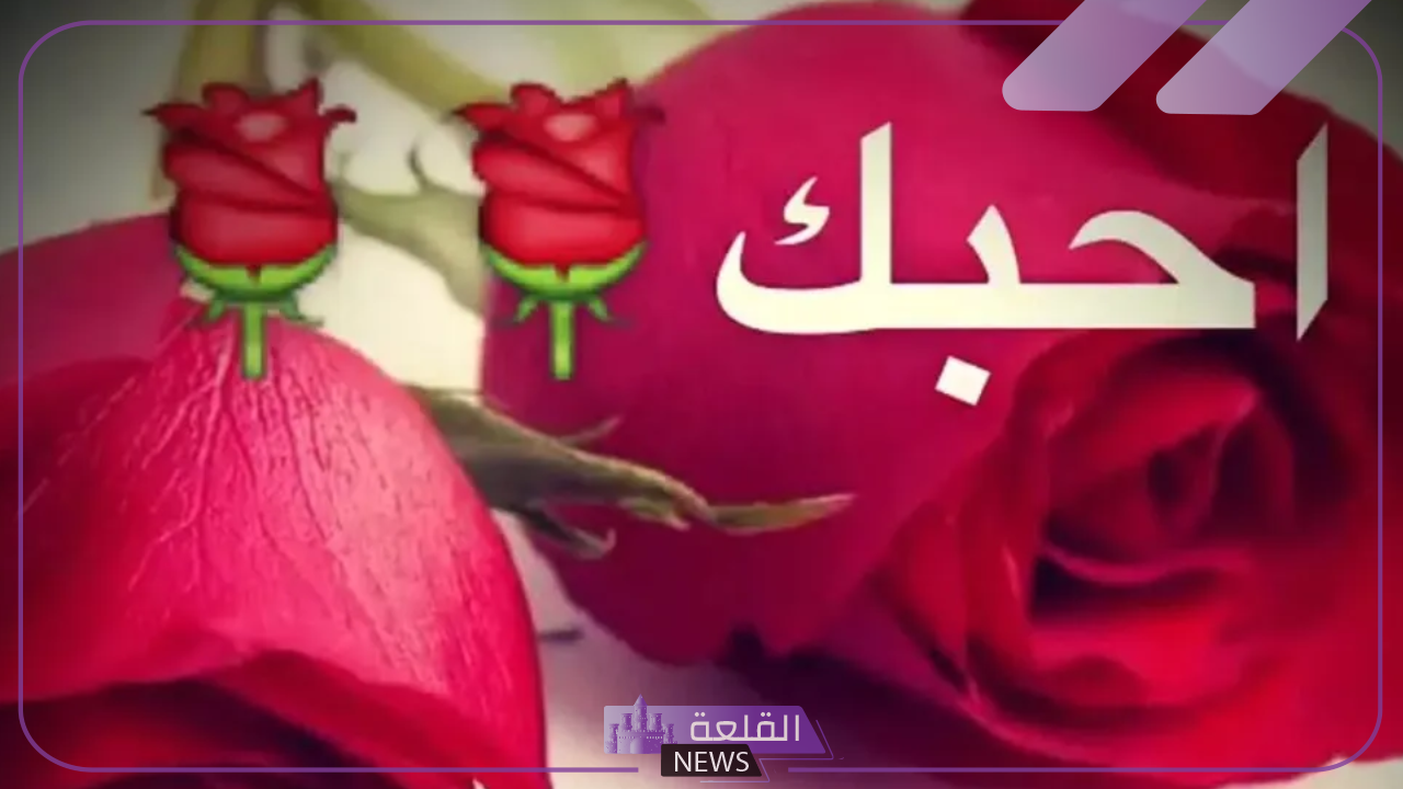 الرد على كلمة احبك.. إذا أحد قال أحبك كيف أرد عليه؟ 6 ردود على كلمة أحبك