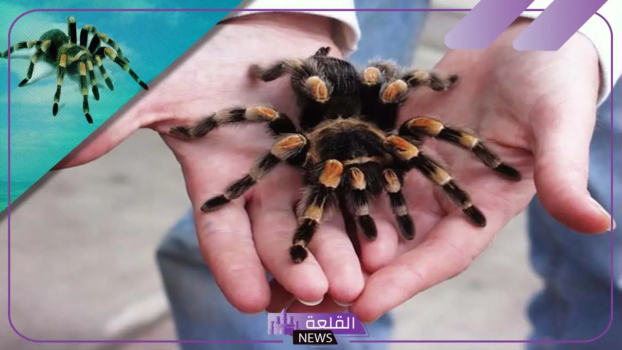 حيوان بحرف ع.. أسماء حيوانات تبدأ بحرف العين