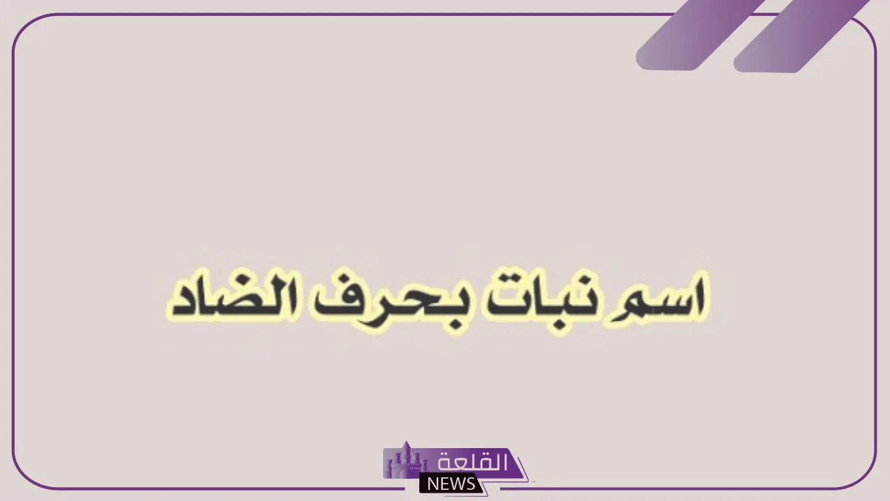 اسم نبات بحرف ض .. أشهر 5 نباتات تبدأ بحرف الضاد اسم نبات بحرف ض .. أشهر 5 نباتات تبدأ بحرف الضاد