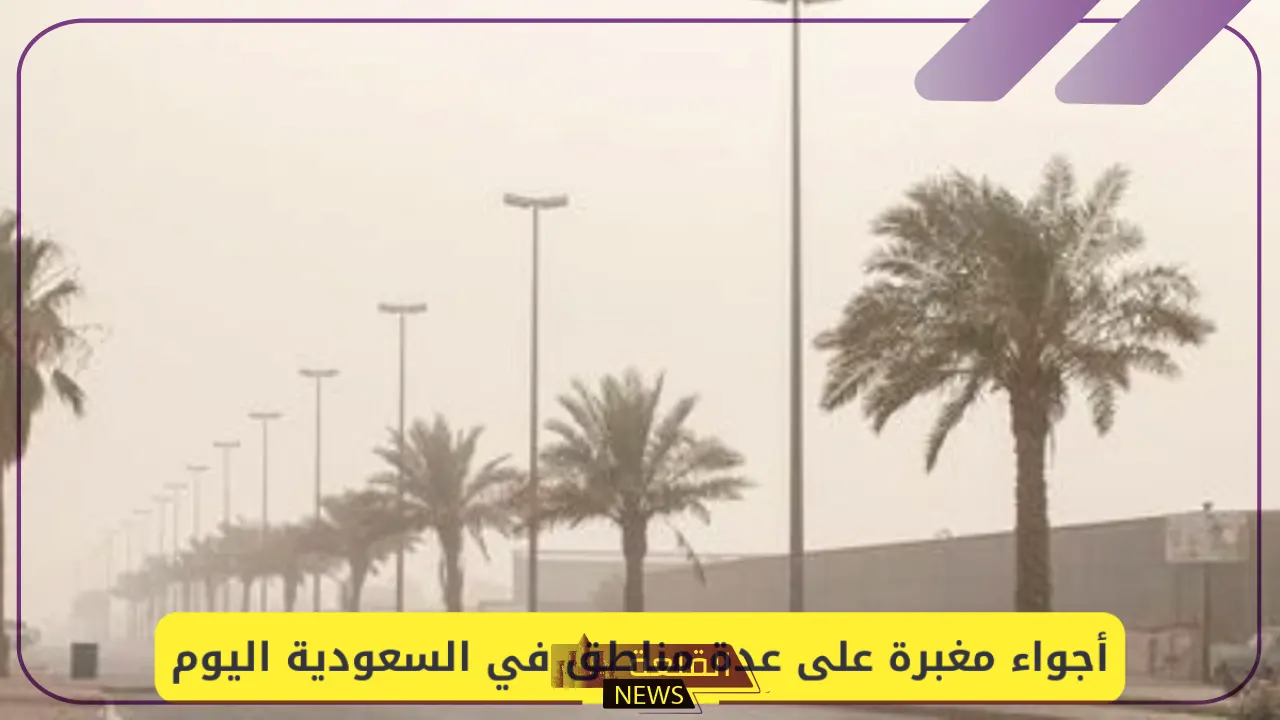 عواصف ورياح غير مسبوقة.. هيئة الأرصاد تحذر من تأثير هذه المناطق بالرياح القوية والأجواء المغبرة