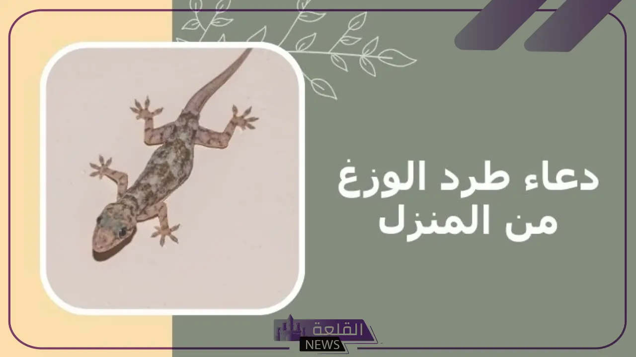 دعاء طرد الوزغ من المنزل مكتوب