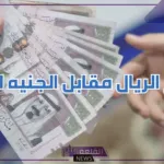 الريال طالع.. لا يفوتك سعر الريال السعودي مقابل الجنيه المصري في البنوك اليوم 15 يوليو