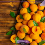 اعرف الفوائد.. شاهد الفوائد التي يحصل عليها الجسم من تناول المشمش يوميًا