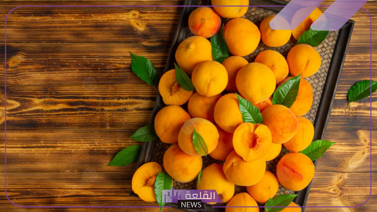 اعرف الفوائد.. شاهد الفوائد التي يحصل عليها الجسم من تناول المشمش يوميًا