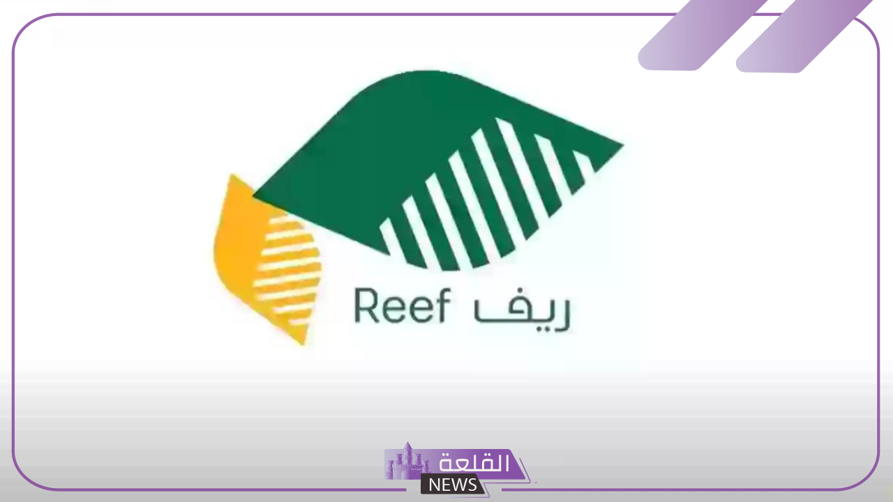 وزارة البيئة.. الكشف عن حقيقة زيادة راتب دعم ريف للأسر المنتجة في هذا الشهر