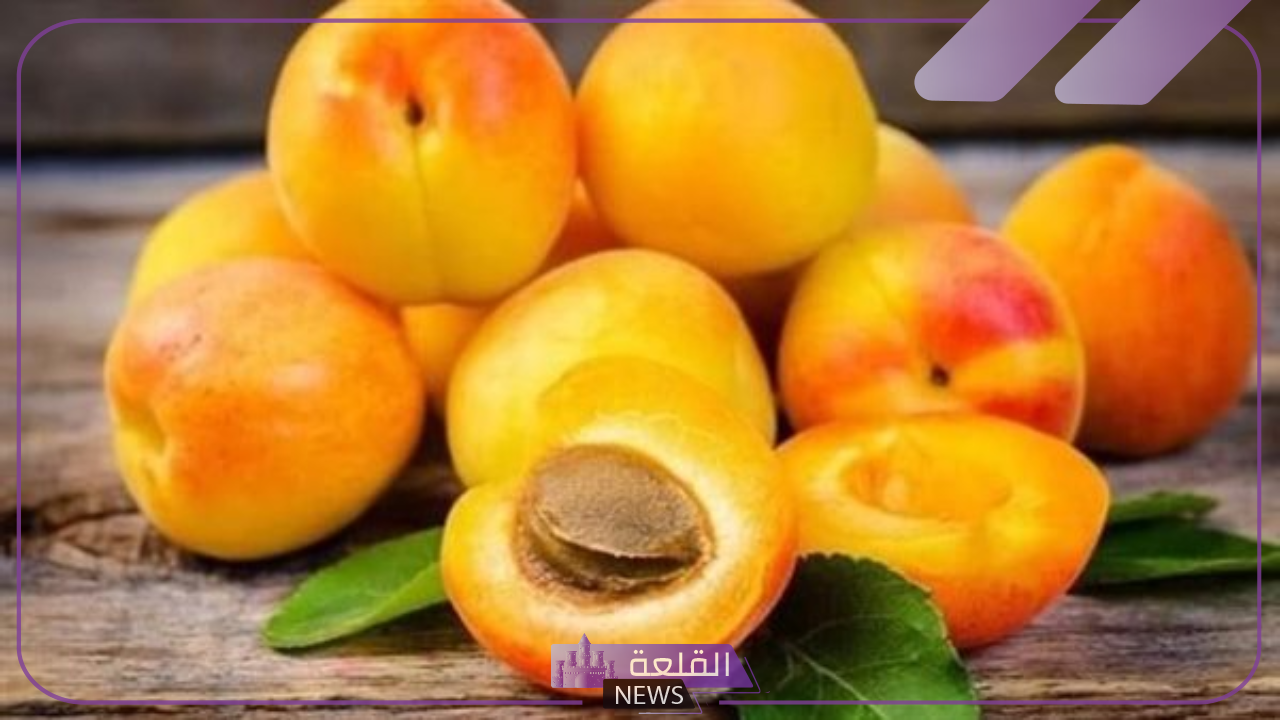 اعرف الفوائد.. شاهد الفوائد التي يحصل عليها الجسم من تناول المشمش يوميًا 6 تناول المشمش يوميًا وتأثره الإيجابي على الصحة العامة للإنسان.. اعرف التفاصيل