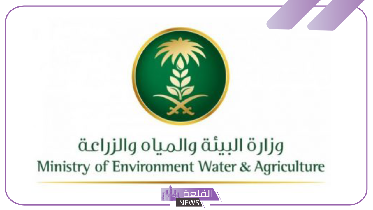 وزارة البيئة.. الكشف عن حقيقة زيادة راتب دعم ريف للأسر المنتجة في هذا الشهر 6 الكشف عن حقيقة زيادة راتب دعم ريف للأسر المنتجة في هذا الشهر