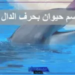 اسم حيوان بحرف د الدال