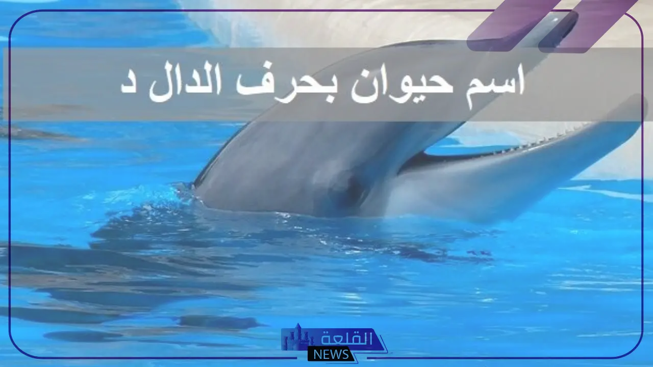 اسم حيوان بحرف د الدال