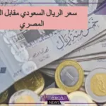 الريال وصل كام؟؟ أسعار شراء وبيع الريال السعودي مقابل الجنيه المصري اليوم الأحد 14 يوليو