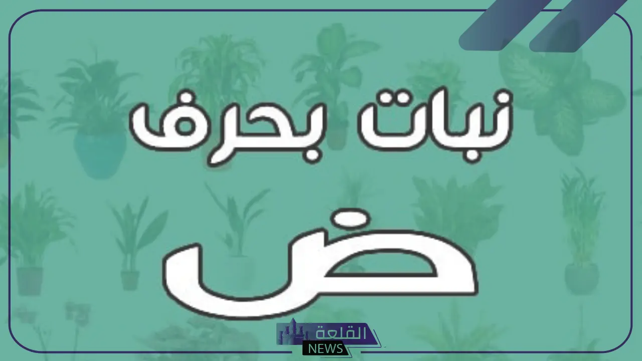 اسم نبات بحرف ض .. أشهر 5 نباتات تبدأ بحرف الضاد