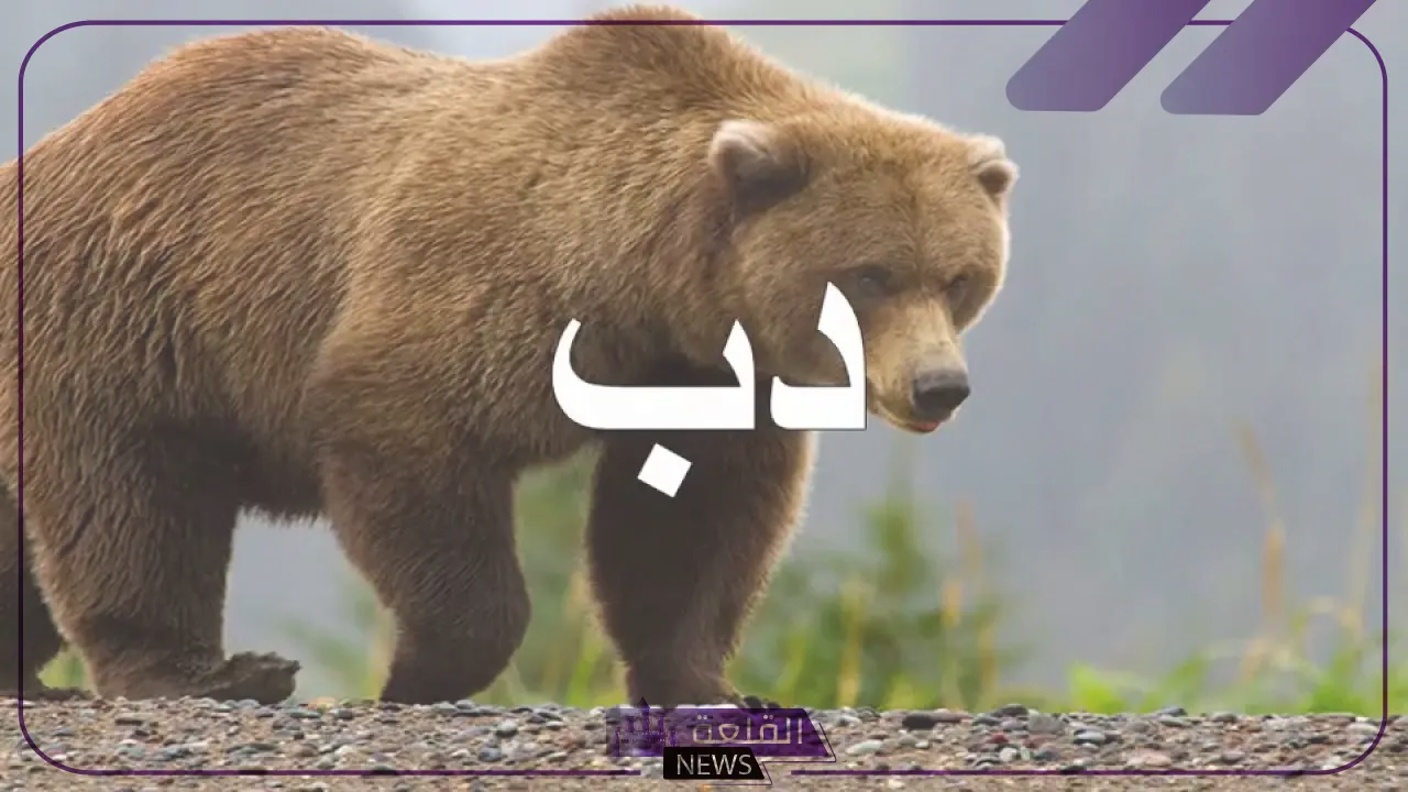 اسم حيوان بحرف د الدال 5 أسماء حيوانات تبدأ بحرف الدال