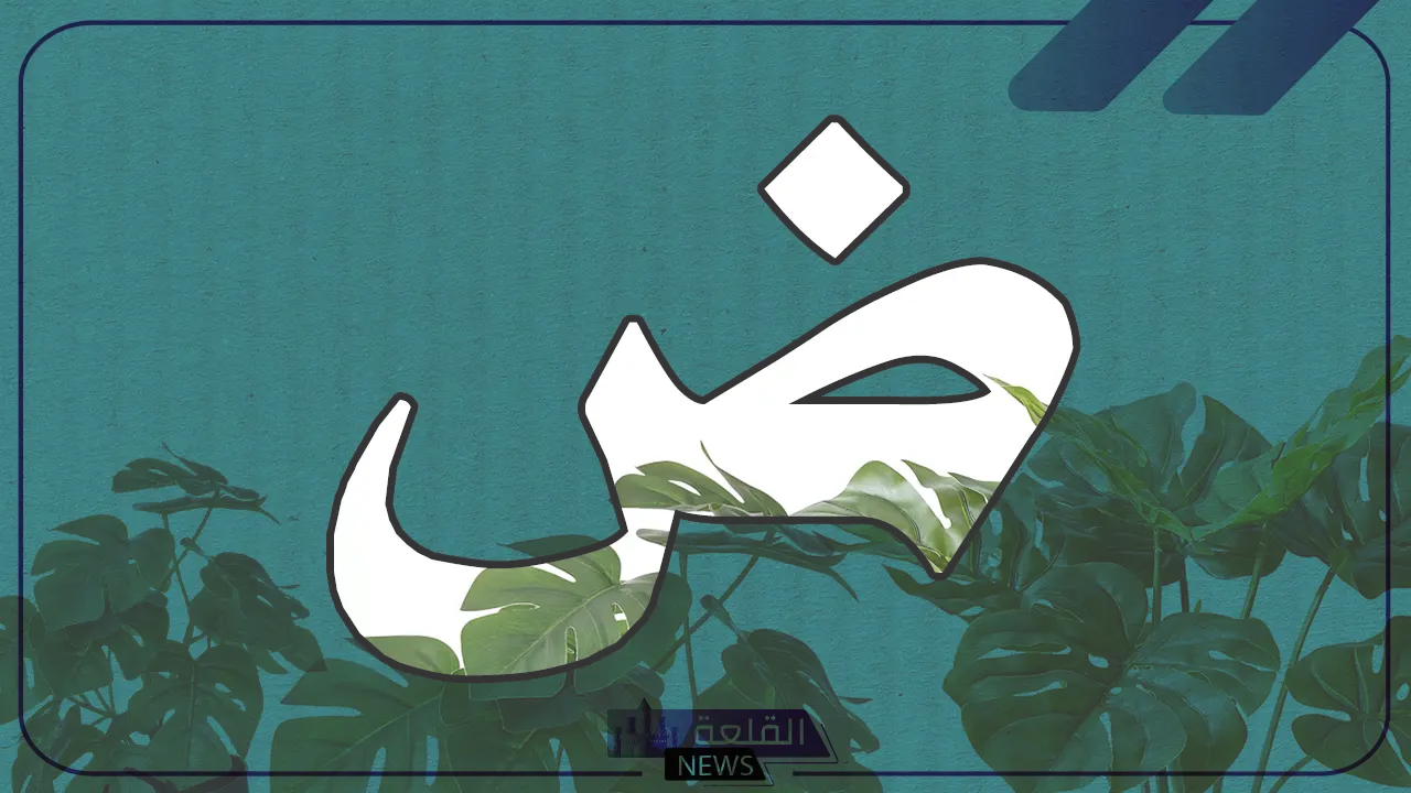 اسم نبات بحرف ض .. أشهر 10 نباتات تبدأ بحرف الضاد 5 أسماء نباتات تبدأ بحرف الضاد